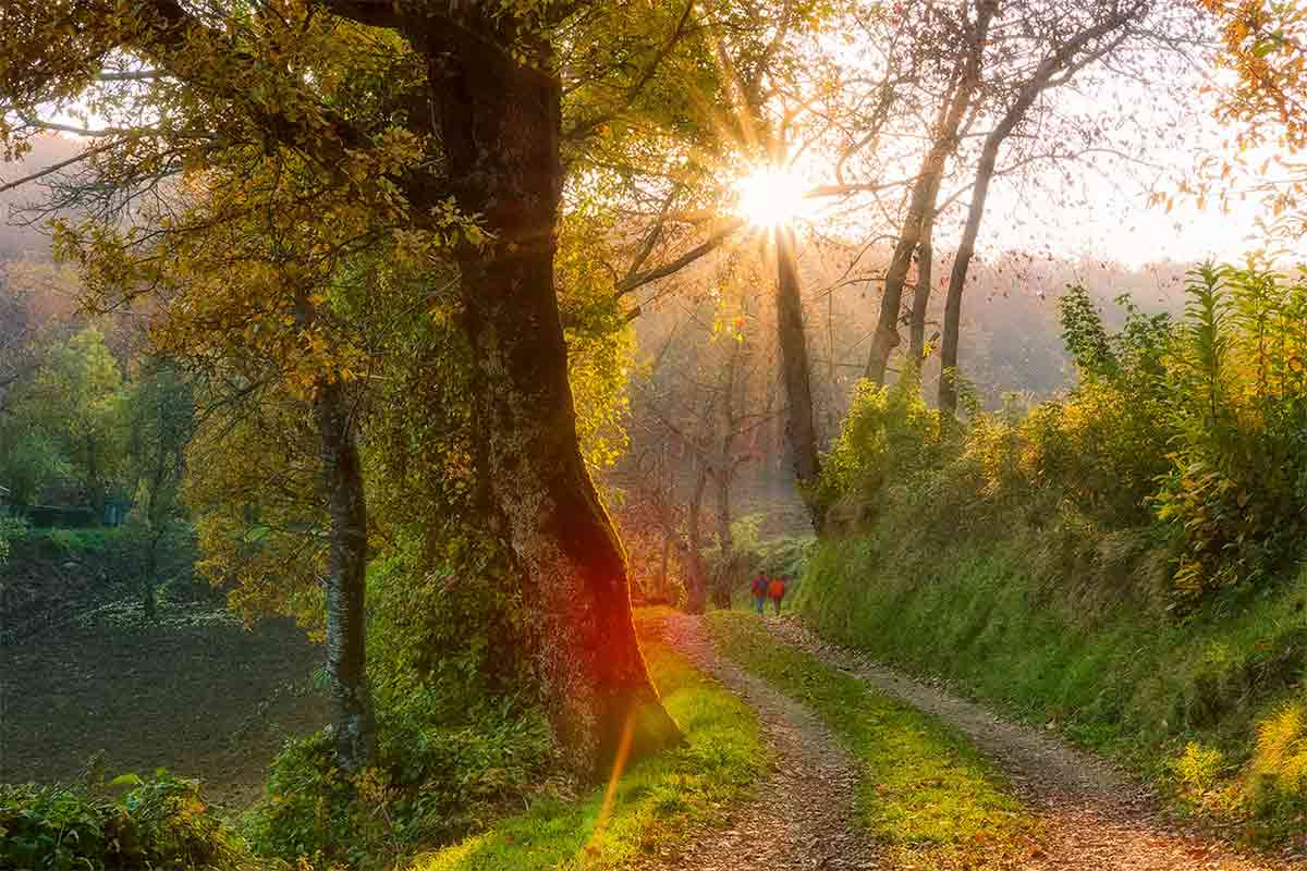 Trekking sui sentieri dell'Appennino Trekking sui sentieri dell'Appennino