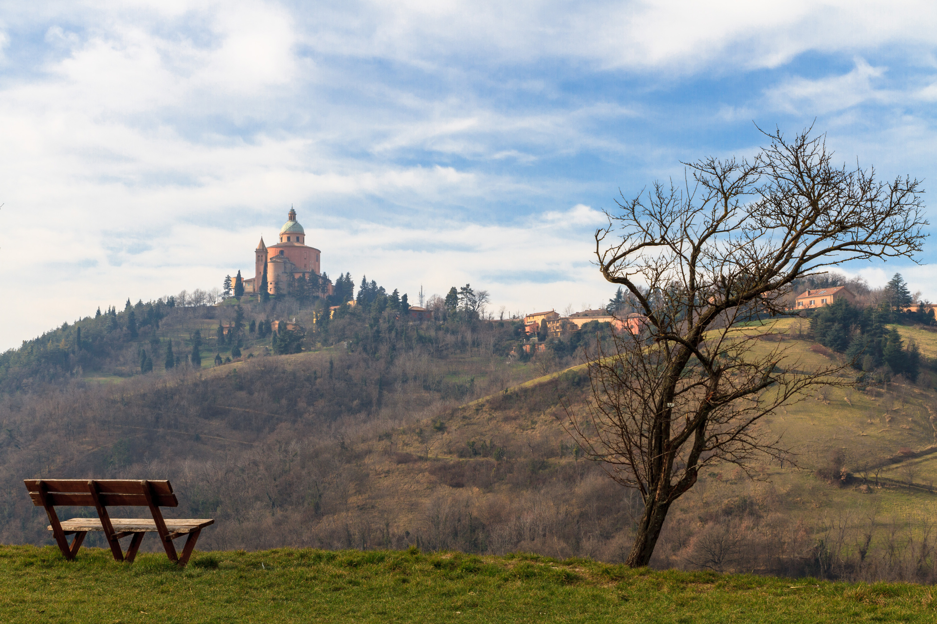 picnic like locals